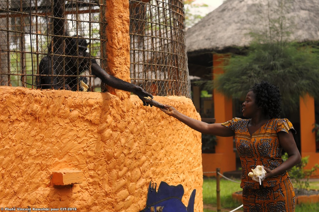 _VKK0358_VincentKowalski-2015 BD.jpg