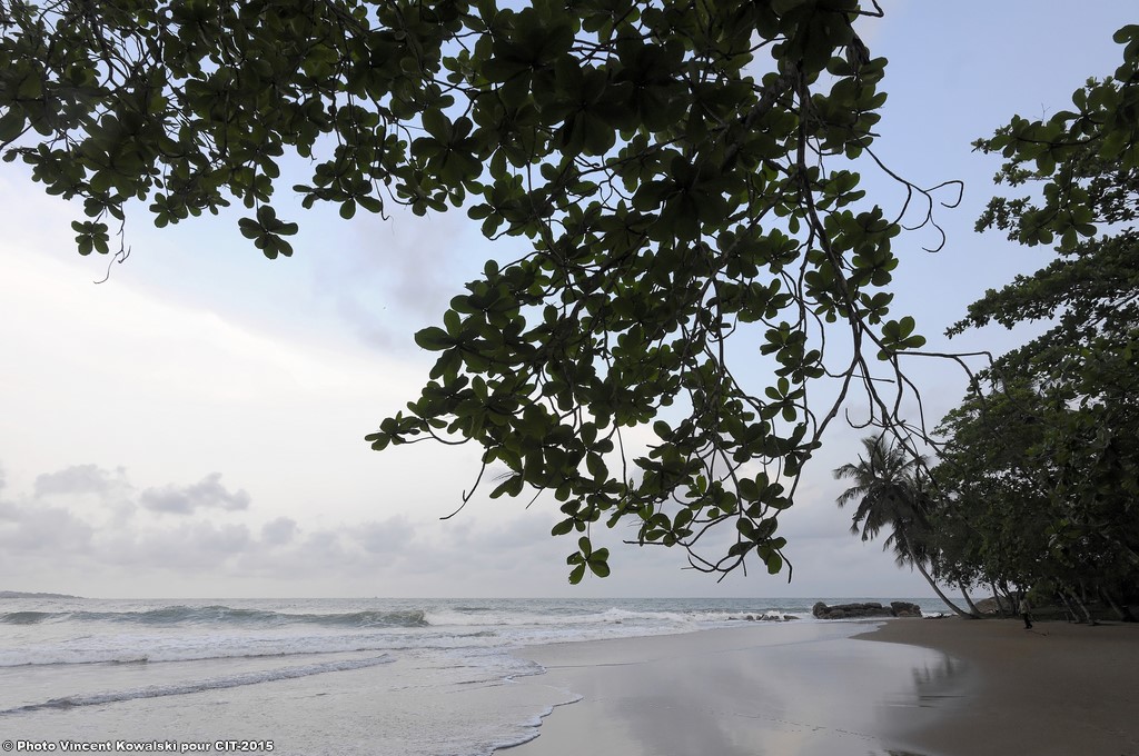 _VKK3912_VincentKowalski-2015 BD.jpg